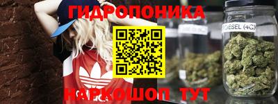 PSILOCYBIN Донской
